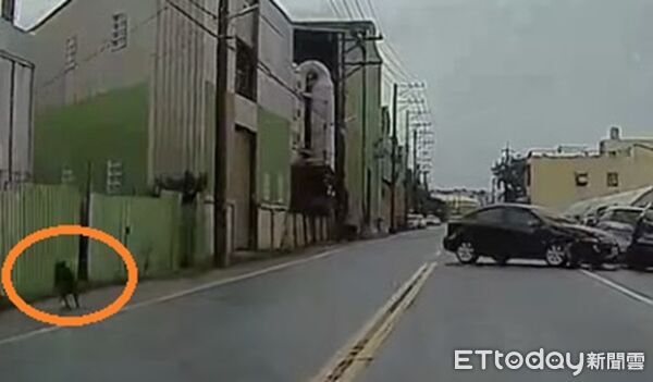 ▲朱姓男子駕車疑為閃避路中黑狗。（圖／記者楊熾興翻攝）