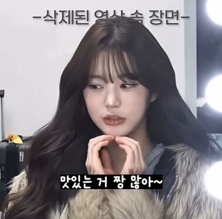 ▲▼張員瑛脫口:香港是我喜歡的國家! 中國網友心碎官方秒刪影片。(圖/翻攝自張員瑛IG、YouTubw)