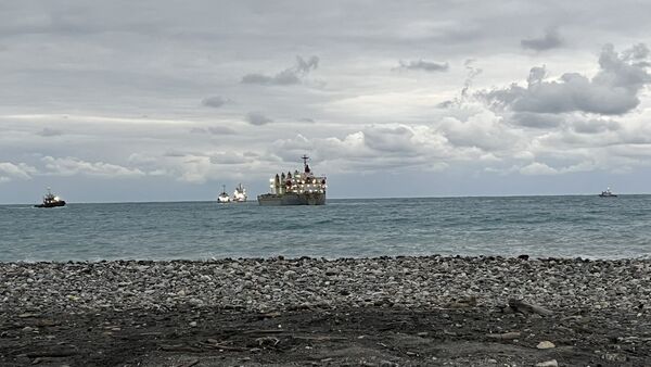 ▲船隻順利駛往花蓮港。（圖／中鋼運通提供）