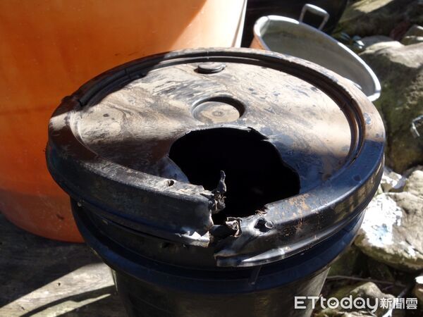 ▲▼  元旦至3日連三日現蹤 專家研判為成年公熊 。（圖／林業保育署嘉義分署提供）