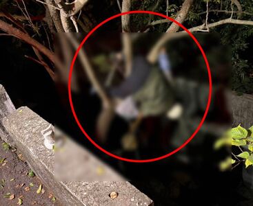 快訊／彰化女騎士離奇噴飛　倒頭栽3米水溝「卡樹上」命危