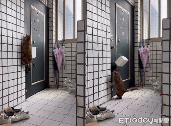 ▲。（圖／Threads@chia12686提供，請勿隨意翻拍，以免侵權。）