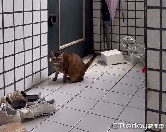 ▲。（圖／Threads@chia12686提供，請勿隨意翻拍，以免侵權。）