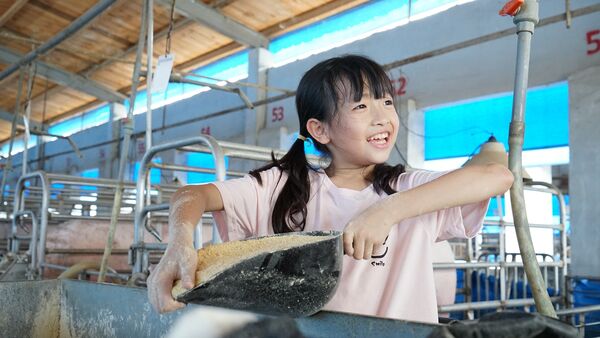 ▲《歡迎光臨我的牧場》與國際作品一同角逐競賽類「最佳電視／網路系列節目」。（圖／公視提供）