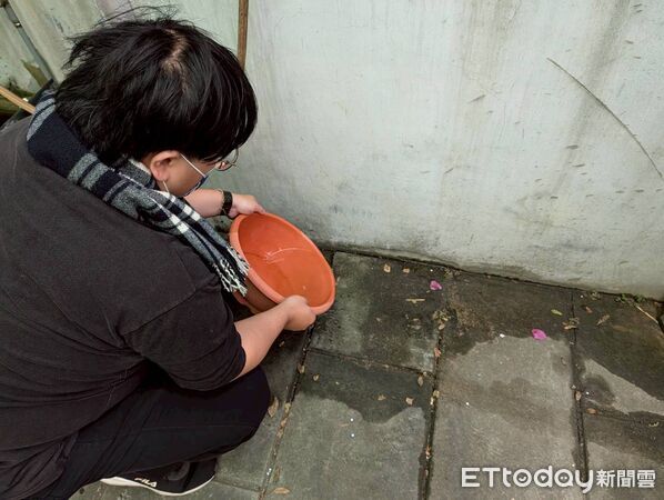 ▲▼   最美日常從門前開始！嘉市環保局呼籲共同落實家門口環境整潔  。（圖／嘉義市政府提供）