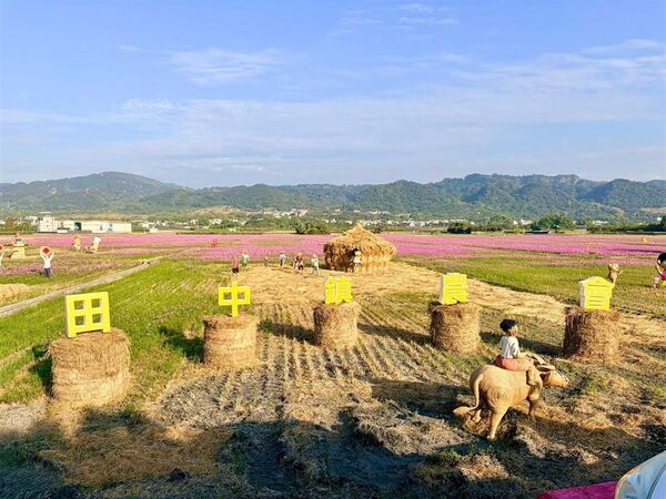 ▲春節到彰化縣賞花。（圖／縣府提供）
