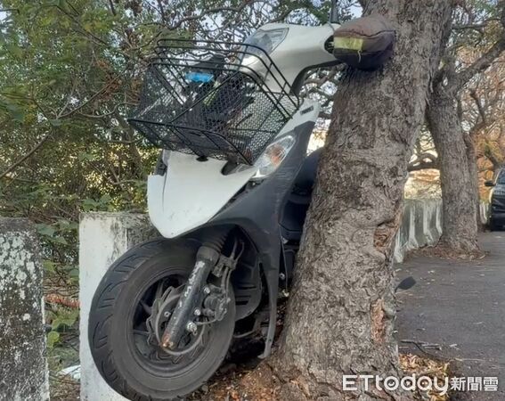 ▲大村鄉女騎士離奇自撞路樹，噴飛到圳溝卡到頭栽卡樹幹。（圖／民眾提供）