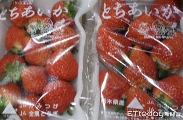 1/6邊境查驗不合格。（圖／食藥署提供）