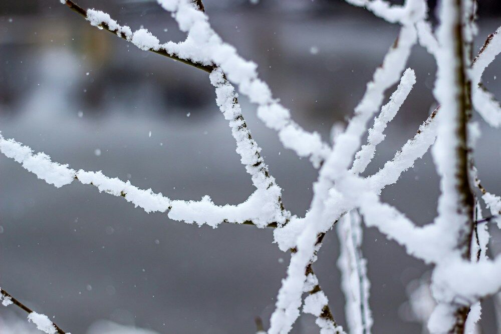 ▲ 雪        。（圖／翻攝自免費圖庫unsplash）