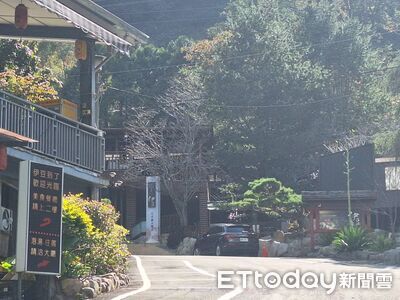 獨／谷關老牌溫泉會館爆非法營業！被罰120萬繼續推迎春專案　