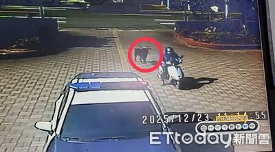 屏東男拾獲山羊送派出所　枋寮警化身小動物守護天使