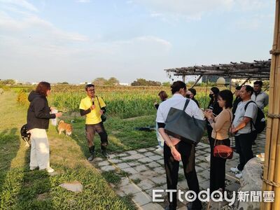 從產地到餐桌！高雄54家「綠色友善餐廳」一次看　 10家餐盒獲認證