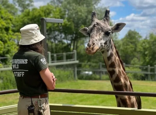 13歲的Koki在元旦因意外不幸離世。（翻攝The Toronto Zoo 臉書）