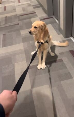 ▲。（圖／翻攝自TikTok／@nataliaklopotowska）