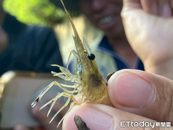 ▲林業及自然保育署屏東分署在車城鄉保力林場舉辦「恆春半島流域平台交流會議」。（圖／林業及自然保育署屏東分署提供）