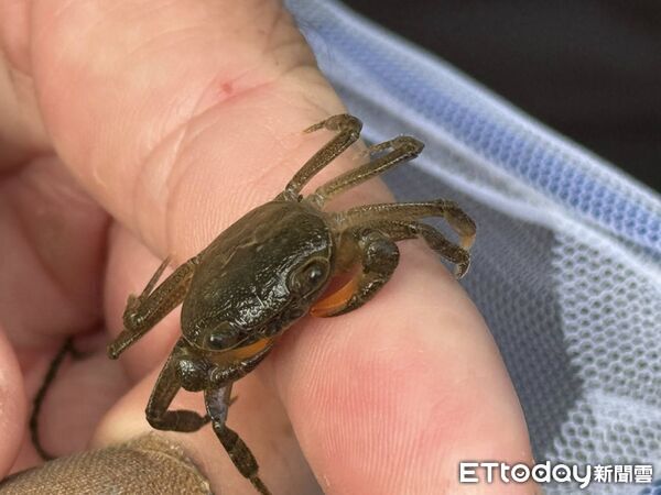 ▲林業及自然保育署屏東分署在車城鄉保力林場舉辦「恆春半島流域平台交流會議」。（圖／林業及自然保育署屏東分署提供）