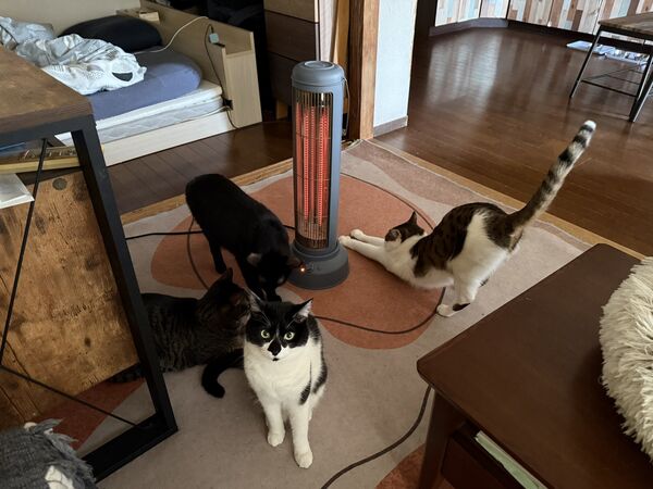 ▲。（圖／翻攝自X／@00shitemita）