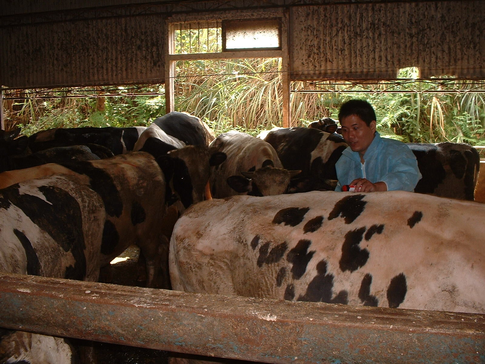 ▲新北表揚6特約獸醫。（圖／新北市動保處提供）