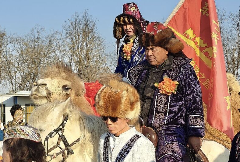 ▲新疆駱駝隊抵達河南洛陽。（圖／翻攝極目新聞）