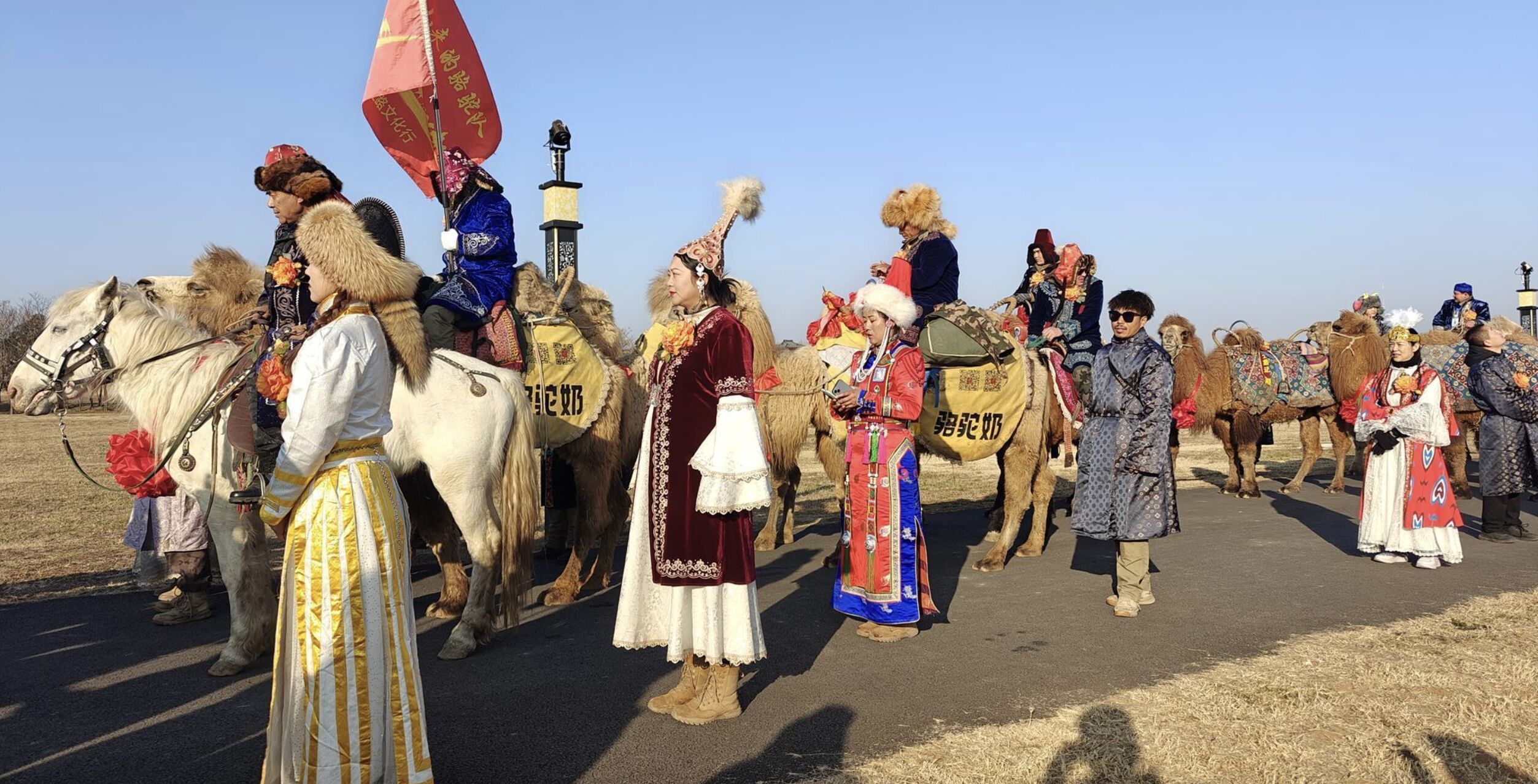 ▲新疆駱駝隊抵達河南洛陽。（圖／翻攝極目新聞）