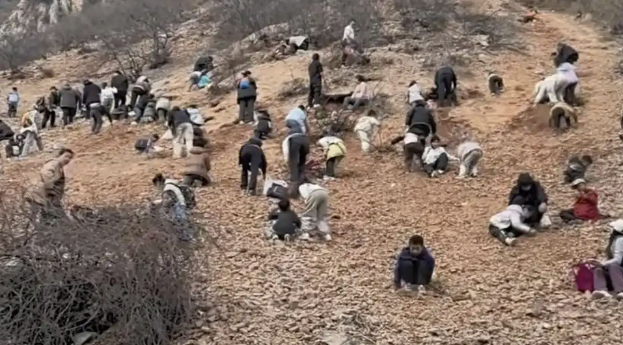 ▲鄭州一處玉石山湧入大量民眾，想撿拾具有價值的玉石。（圖／翻攝微博）