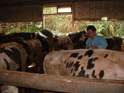 獸醫師節致敬！新北動保表揚6特約獸醫　守護畜牧防疫最前線