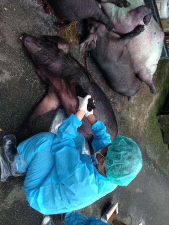 ▲新北表揚6特約獸醫。（圖／新北市動保處提供）