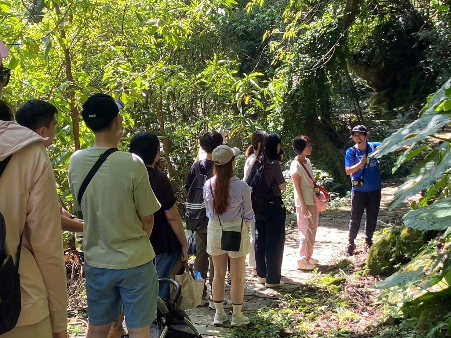 ▲新北農村再生社區「森」呼吸之旅。（圖／新北市農業局提供）