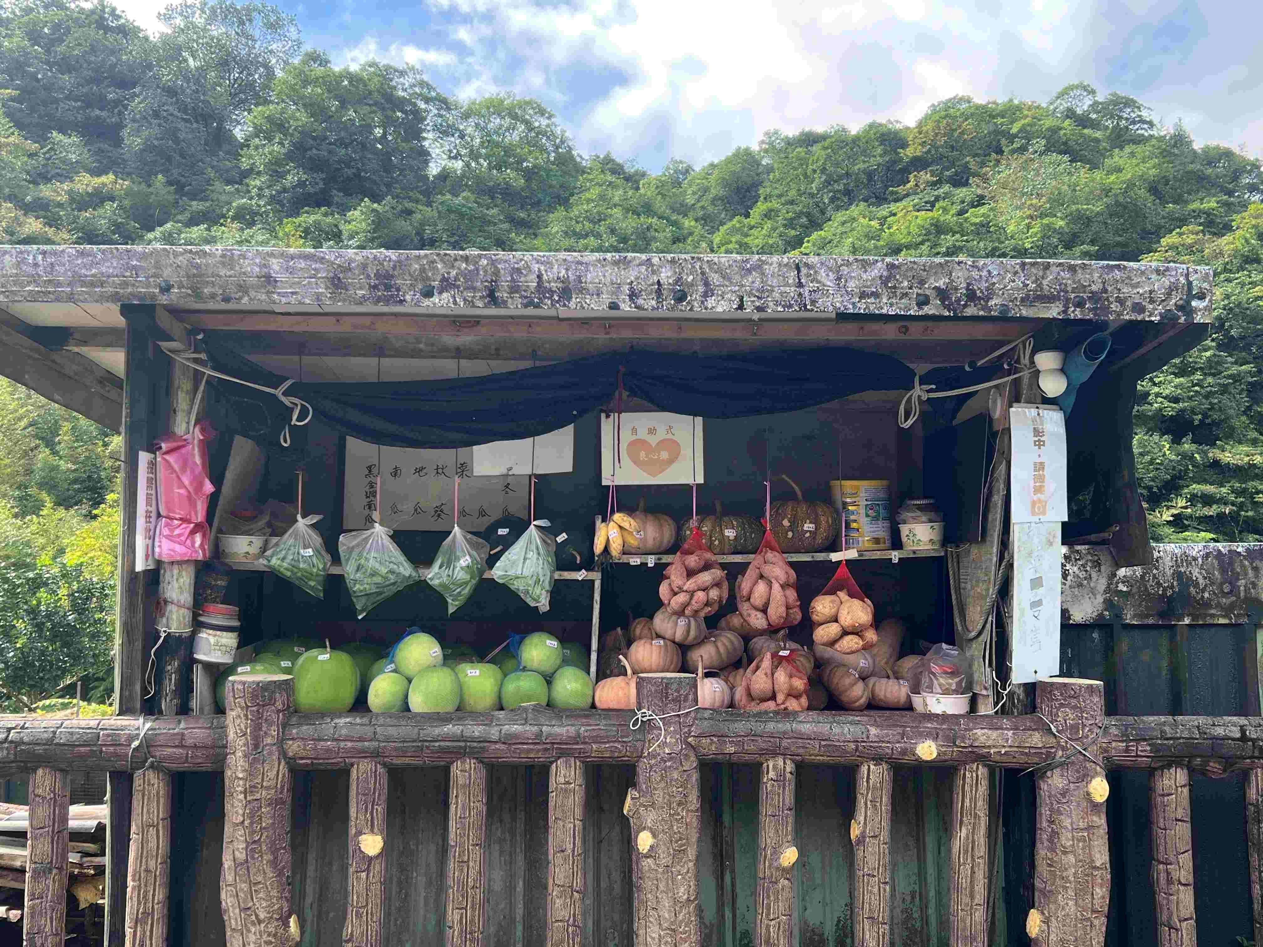 ▲新北農村再生社區「森」呼吸之旅。（圖／新北市農業局提供）