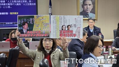 哪來9條？陳昭姿批林淑芬學好算數　再舉王正旭駁圖利：我不需要