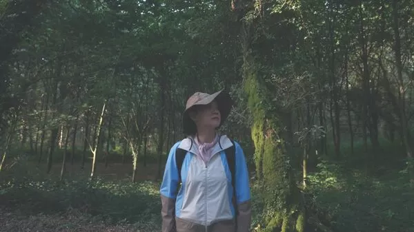 ▲▼曾寶儀挑戰走西班牙朝聖之路。（圖／公共電視、新傳媒提供）