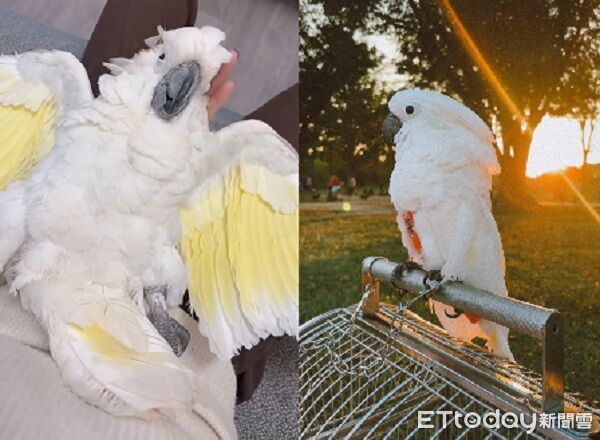 ▲。（圖／Threads@lixhan37提供，請勿隨意翻拍，以免侵權。）