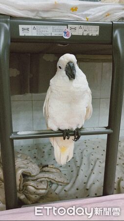 ▲。（圖／Threads@lixhan37提供，請勿隨意翻拍，以免侵權。）