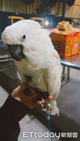 ▲。（圖／Threads@lixhan37提供，請勿隨意翻拍，以免侵權。）