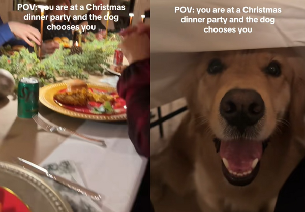 女聚餐被貪吃阿金選中「超萌討食」　網哀號：誰能抵抗那張臉。（圖／翻攝自TikTok／thegoldenboyranger）