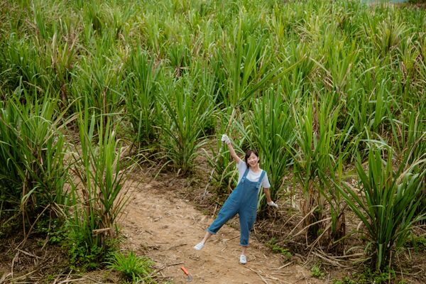 ▲新竹老爺雅緻客房,新竹老爺家庭客房,桔滿緣寶山農場園區,新城楓糖自種有機甘蔗田。（圖／業者提供）