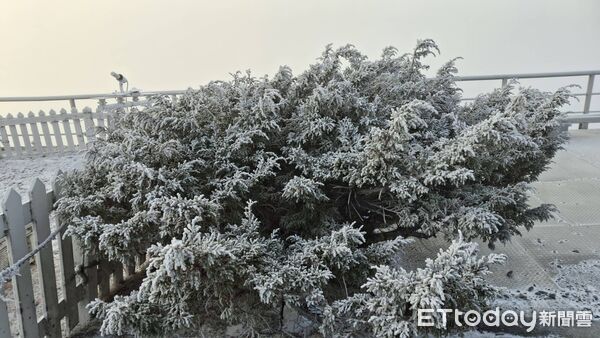 ▲▼玉山霧淞。（圖／氣象署提供）