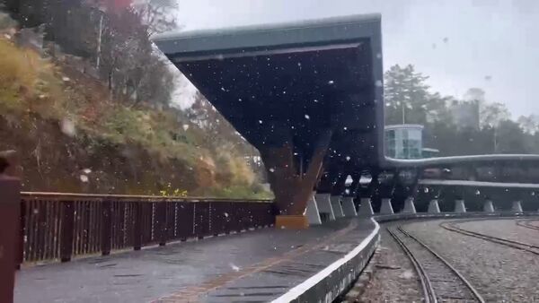 ▲▼ 阿里山祝山車站8:05分飄雪 。（圖／阿里山許登凱先生提供）