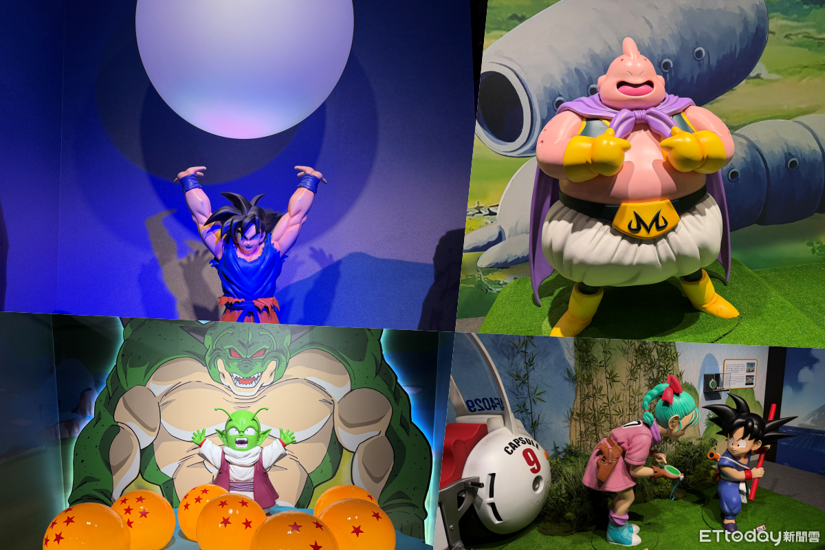 ▲▼             。（圖／記者蘇晟彥攝）