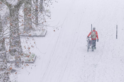 逾700航班取消！　歐洲暴風雪已奪7命「多國交通大亂」
