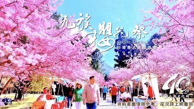 九族櫻花祭「十大必玩」快存起來　