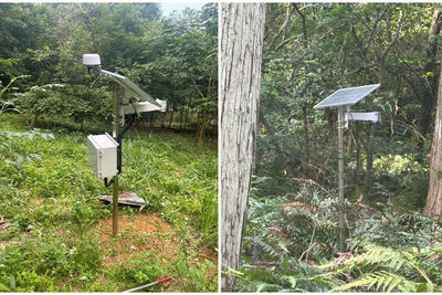 深山不再資訊孤島　宜大神盾衛星守護山區智慧林業登國際