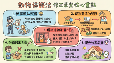 政院拍板動保法修正 棄養寵物最重罰百萬、重大虐待可判5年徒刑