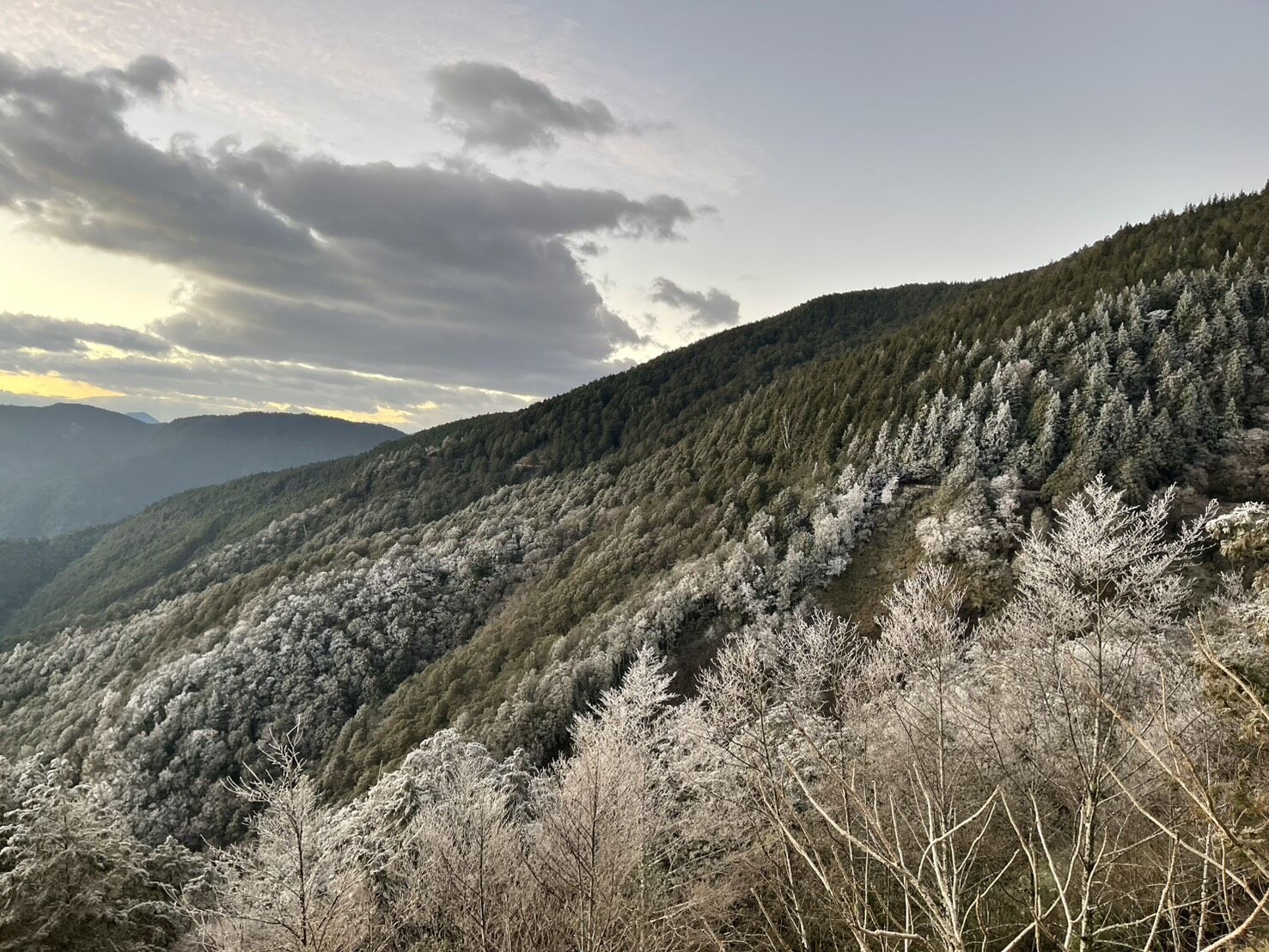 ▲▼太平山降至 0&deg;C 霧淞美景現身。（圖／太平山莊提供，下同）