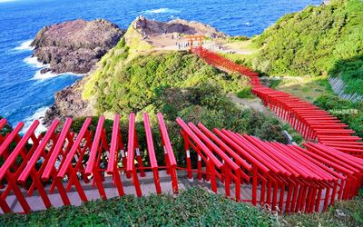 123座「蜿蜒鳥居長廊」超壯觀！
