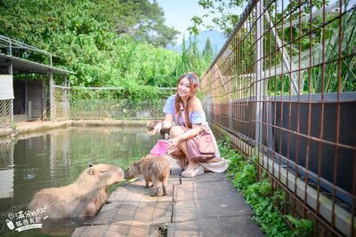 150元含餵鹿釣蝦摸蜆！大溪佛心農場