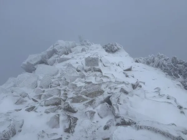 ▲▼快訊／玉山下雪一片白！　積雪1公分畫面曝。（圖／中央氣象署）