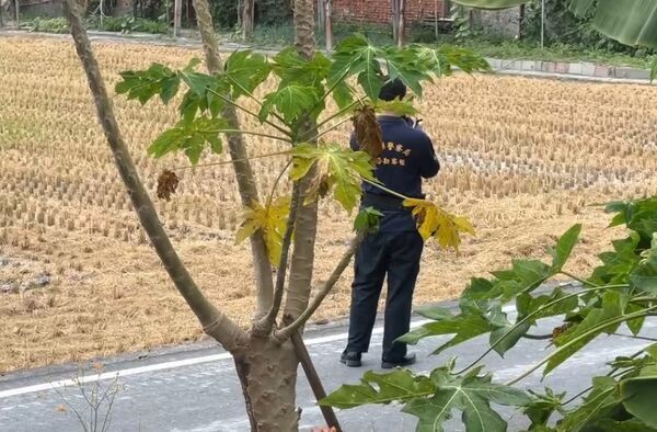 ▲彰化2毒蟲為了吸喪屍600元談判扭打李男奪刀反刺死自己。（資料圖／彰化醫院提供 民眾提供）