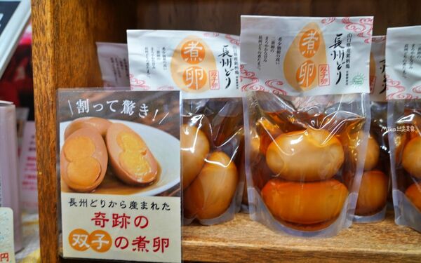 ▲▼日本山口「元乃隅神社」，123座紅色鳥居綿延至海邊，依山傍海超壯觀。（圖／部落客Mika提供）