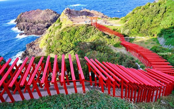 ▲▼日本山口「元乃隅神社」，123座紅色鳥居綿延至海邊，依山傍海超壯觀。（圖／部落客Mika提供）